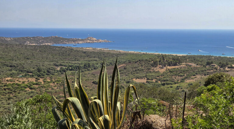 Villa confidentielle bord de mer Corse-du-Sud